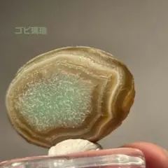 2026年最新】ゴビアゲートの人気アイテム - メルカリ