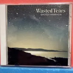 2026年最新】浜田省吾 WASTED TEARSの人気アイテム - メルカリ