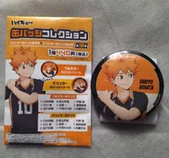 2026年最新】日向翔陽缶バッジの人気アイテム - メルカリ