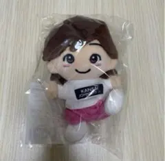 2026年最新】道枝駿佑ちびぬいの人気アイテム - メルカリ