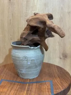 2026年最新】n/oh 鉢の人気アイテム - メルカリ