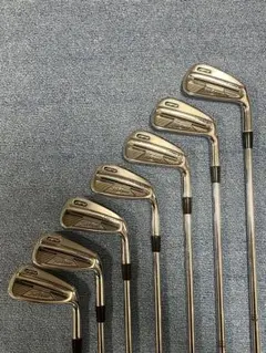 2026年最新】タイトリスト 710 AP2の人気アイテム - メルカリ