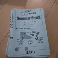 2026年最新】サマーサピックスの人気アイテム - メルカリ