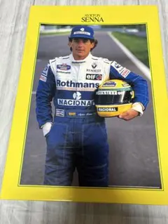 2026年最新】アイルトン・セナ パズルの人気アイテム - メルカリ