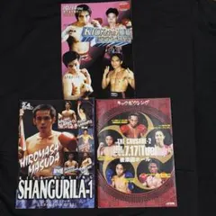 2026年最新】ボクシングパンフレットの人気アイテム - メルカリ