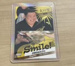 2026年最新】大の里 サインの人気アイテム - メルカリ