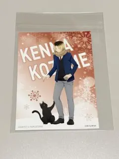 ハイキュー コスモワールド 孤爪研磨 ホログラムカード - メルカリ