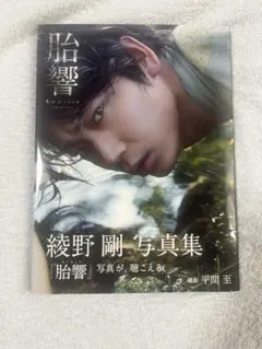 2026年最新】綾野剛写真集の人気アイテム - メルカリ