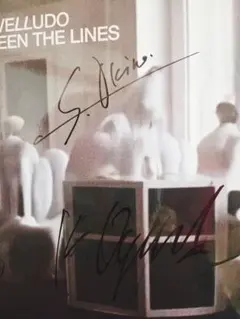 2026年最新】VELLUDO betweenの人気アイテム - メルカリ