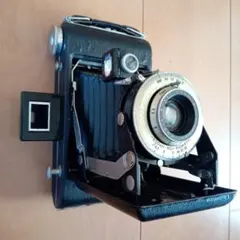 2026年最新】蛇腹 コダックの人気アイテム - メルカリ