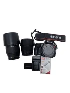 2026年最新】sony α55 レンズの人気アイテム - メルカリ