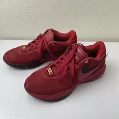 2026年最新】leBron 20 27.5の人気アイテム - メルカリ