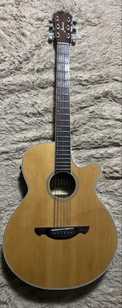 2026年最新】je450 ギターの人気アイテム - メルカリ