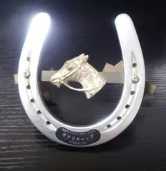 2026年最新】オグリキャップ 蹄鉄の人気アイテム - メルカリ