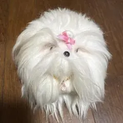 2026年最新】マルチーズぬいぐるみの人気アイテム - メルカリ