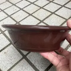 2026年最新】松泉焼 山秋造の人気アイテム - メルカリ