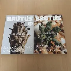 2026年最新】ティランジア ハンドブックの人気アイテム - メルカリ