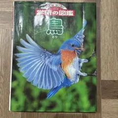 2026年最新】図鑑 鳥 洋書の人気アイテム - メルカリ