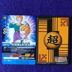 m16666888004_1.jpg?1772324147