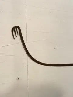 2026年最新】鰻掻きの人気アイテム - メルカリ