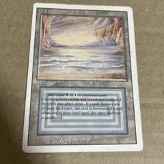 2026年最新】デュアルランドの人気アイテム - メルカリ