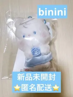 2026年最新】ビニニの人気アイテム - メルカリ