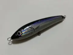 2026年最新】カーペンター ブルーフィッシュ 60 170の人気アイテム