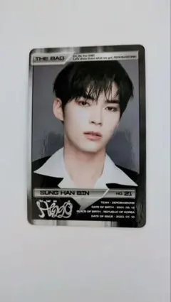 2026年最新】idカード ハンビンの人気アイテム - メルカリ