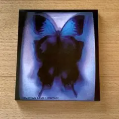 2026年最新】YEN TOWN BAND MONTAGEの人気アイテム - メルカリ