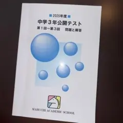 2026年最新】馬渕 公開テストの人気アイテム - メルカリ