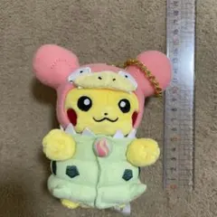 2026年最新】ポンチョを着たピカチュウ ぬいぐるみの人気アイテム