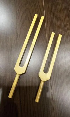 2026年最新】アキュトニクスの人気アイテム - メルカリ