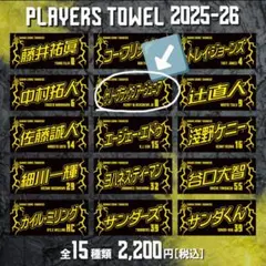 2026年最新】群馬クレインサンダーズ タオルの人気アイテム - メルカリ