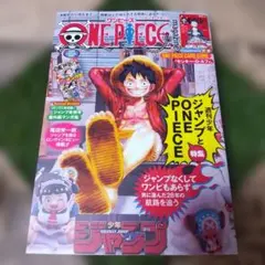 ONE PIECE magazine 特集 週刊少年ジャンプとONE PIECE 020 - メルカリ