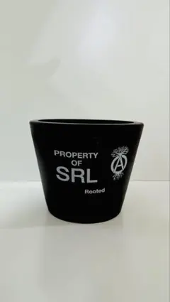 2026年最新】neighborhood srl 鉢の人気アイテム - メルカリ