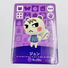 2026年最新】amiboジュンの人気アイテム - メルカリ