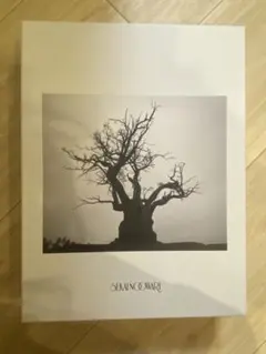 2026年最新】sekai no owari cd ベストの人気アイテム - メルカリ