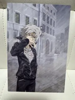 2026年最新】家庭教師ヒットマンREBORN! 獄寺 隼人 ビジュアルカードの