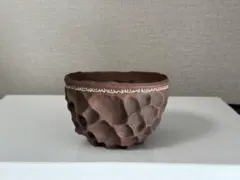 2026年最新】thh 鉢の人気アイテム - メルカリ