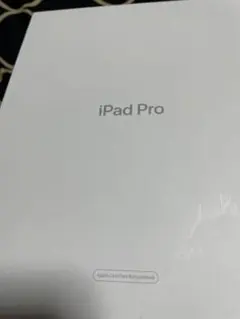 ジャンク・画面割れなし】iPad Pro 11インチ第3世代 Wi-Fiモデル