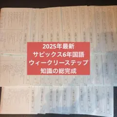 2026年最新】サピックス テキスト 6年の人気アイテム - メルカリ