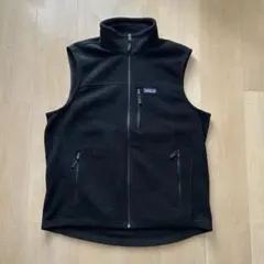 2026年最新】パタゴニアシンチラベストの人気アイテム - メルカリ