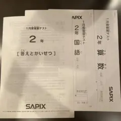 2026年最新】サピックス1月度復習テストの人気アイテム - メルカリ