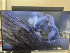 2026年最新】液晶テレビ 55型 液晶割れの人気アイテム - メルカリ