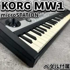 2026年最新】microstation korgの人気アイテム - メルカリ