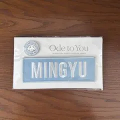 2026年最新】seventeen ワッペン ミンギュの人気アイテム - メルカリ