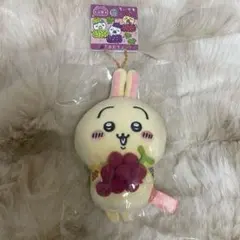 2026年最新】ぶどう_ちいかわの人気アイテム - メルカリ