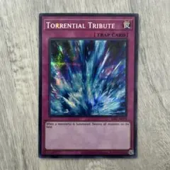 2026年最新】アジア 激流葬の人気アイテム - メルカリ