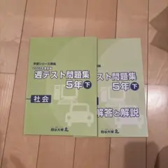 2026年最新】四谷大塚 予習シリーズ 5年下の人気アイテム - メルカリ