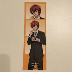 2026年最新】ラウンドワン テニスの王子様 クリアファイルの人気